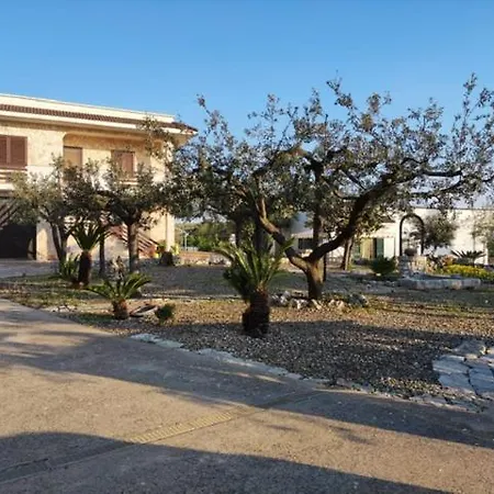 Palmitessa Gorgofreddo