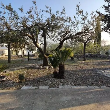Palmitessa *